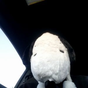 Meet your Posher, Zion